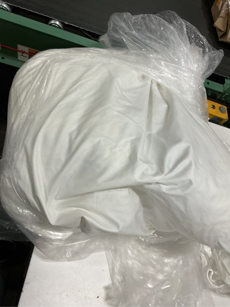 Condition photo showing As Is for premium feather pillow insert (set of 2), 22x22, no color