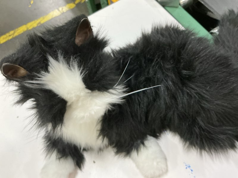 Condition photo showing As Is for joy for all companion pet for seniors - lifelike animatronic cat - realistic soft-touch fur & purring - therapy stuffed animal - toy for alzheimer's & dementia - tuxedo black & white tuxedo cat