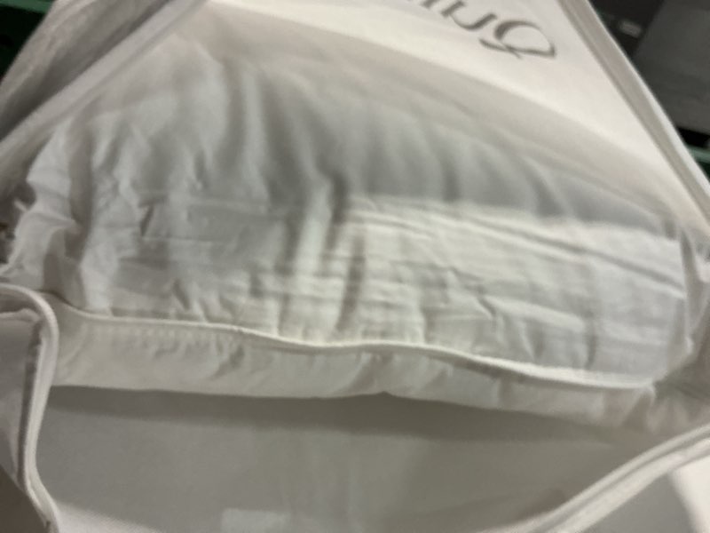 Condition photo showing Good Condition for luxe goose down pillow, standard, firm/extra firm