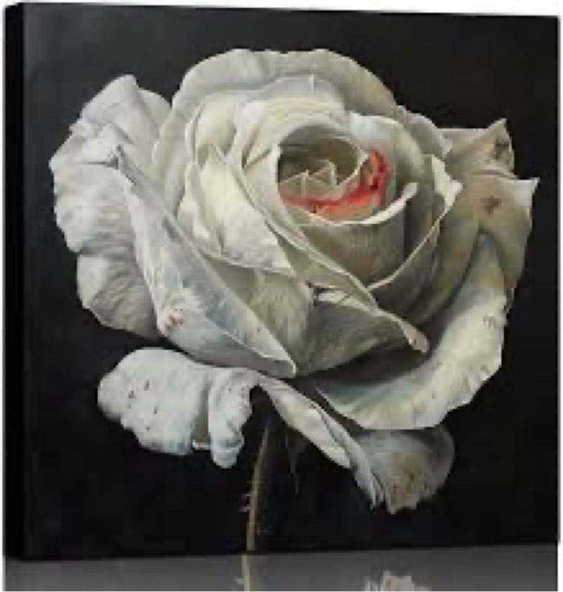 YRYWAWA Bathroom Wall Art Black and White Rose Wall Art Flower Canvas Pictures Décor Vintage Floral 