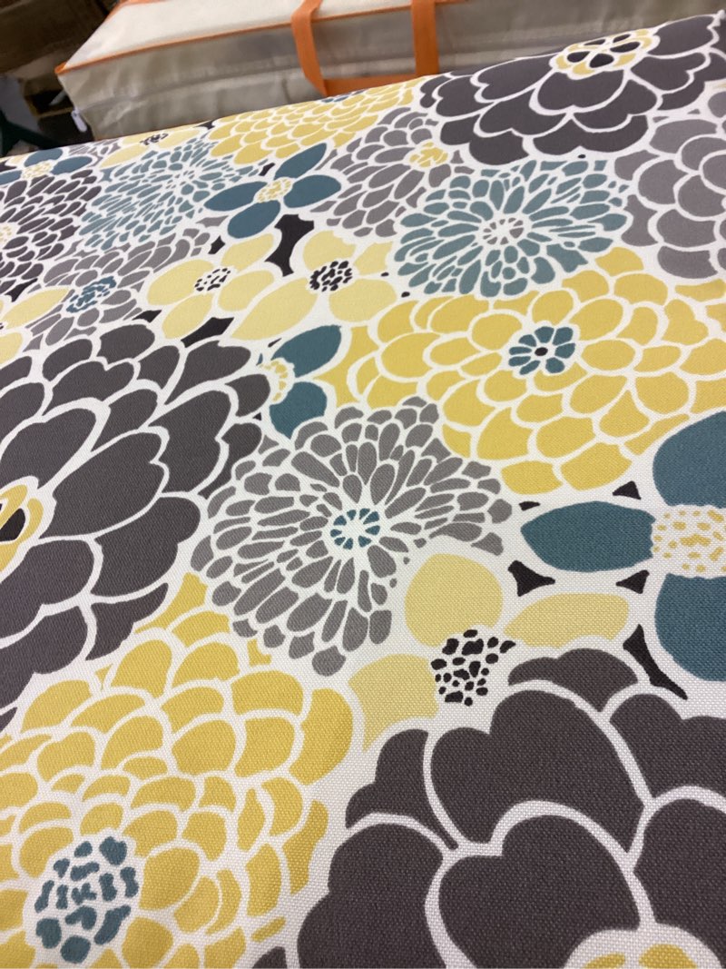 Condition photo showing Good Condition for Large chair cushions 2 