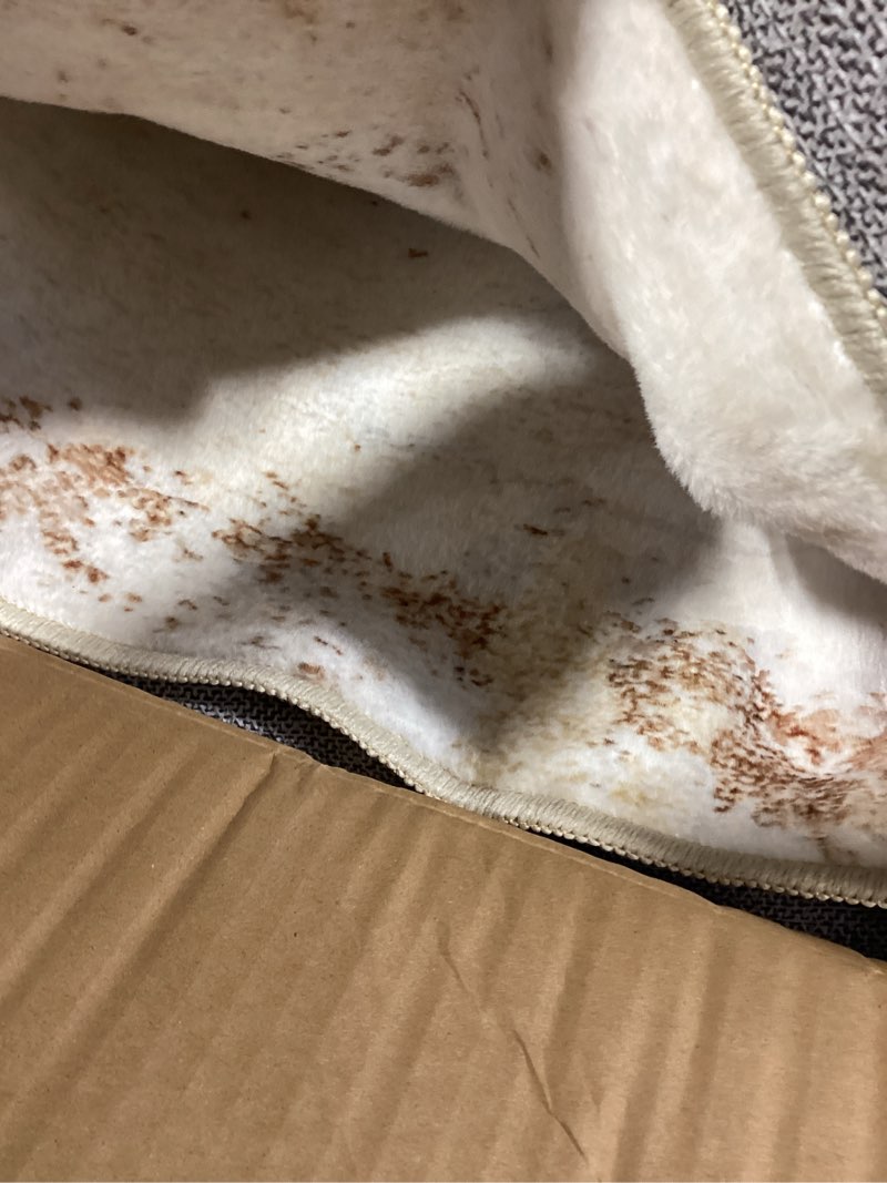 Condition photo showing Good Condition for Area Rug Living Room Rugs: 8x10 Indoor Soft Fluffy Rug Abstract Carpet for Bedroom Kitchen Dining Room Floor Washable Plush Throw Large Accent Rug Home Office Nursery Decor - Beige 8' x 10' (Rectangular) Beige