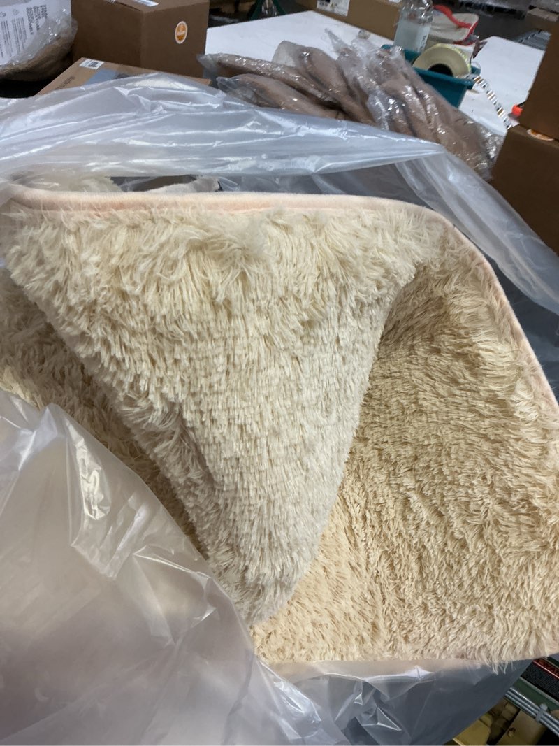 Condition photo showing As Is for Ophanie Beige Rugs for Bedroom Living Room, Fluffy Fuzzy Furry Carpet, Plush Soft Shaggy Bedside Indoor Floor 4x6 Area Rug for Kids Girls Boys Baby Teen Dorm Nursery Home Decor Aesthetic