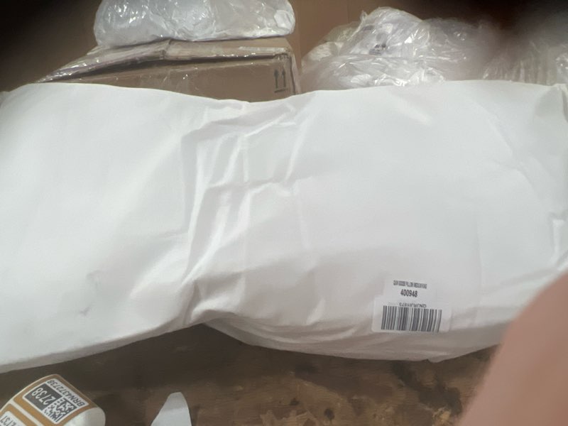 Condition photo showing New/Like New for luxe goose down pillow, king, medium/firm