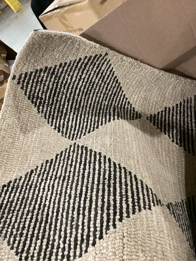 Condition photo showing As Is for loloi chris loves julia francis collection fra-01 beige/charcoal 2'-0" x 5'-0" accent rug beige / charcoal 2' x 5' (rectangular) checkered