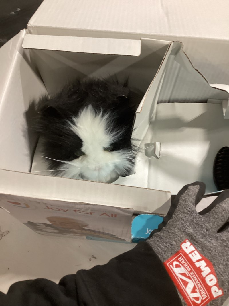 Condition photo showing Good Condition for JOY FOR ALL Companion Pet for Seniors - Lifelike Animatronic Cat - Realistic Soft-Touch Fur & Purring - Therapy Stuffed Animal - Toy for Alzheimer's & Dementia - Tuxedo Black & White Tuxedo Cat