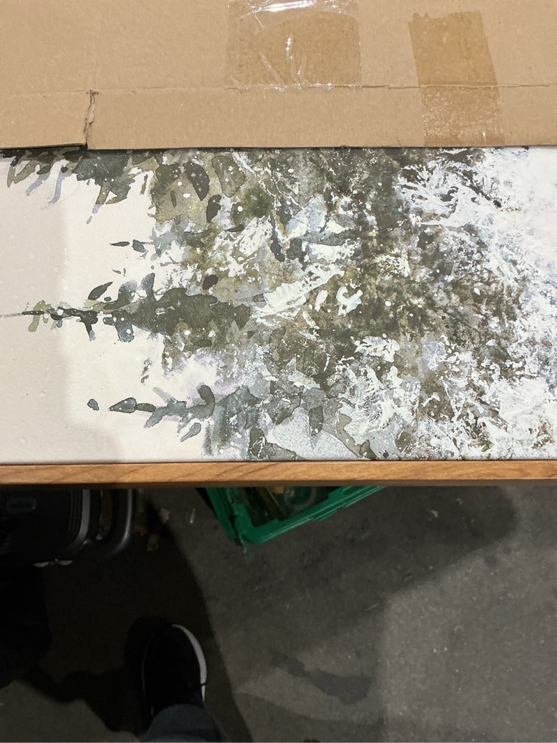 Condition photo showing Good Condition for viyyiea framed canvas wall art, large vintage christmas picture decor indoor, 16x24in, retro winter pine forest painting artwork for living dining room hallway fireplace, holiday decorations winter forest 24"l x 16"w