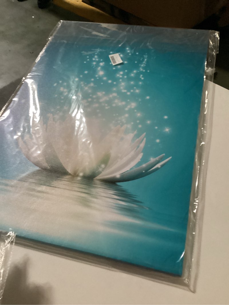 https://lotting-media.assets.bidfta.com/lotting_93a350e3-8965-4115-806a-f68479cb1748