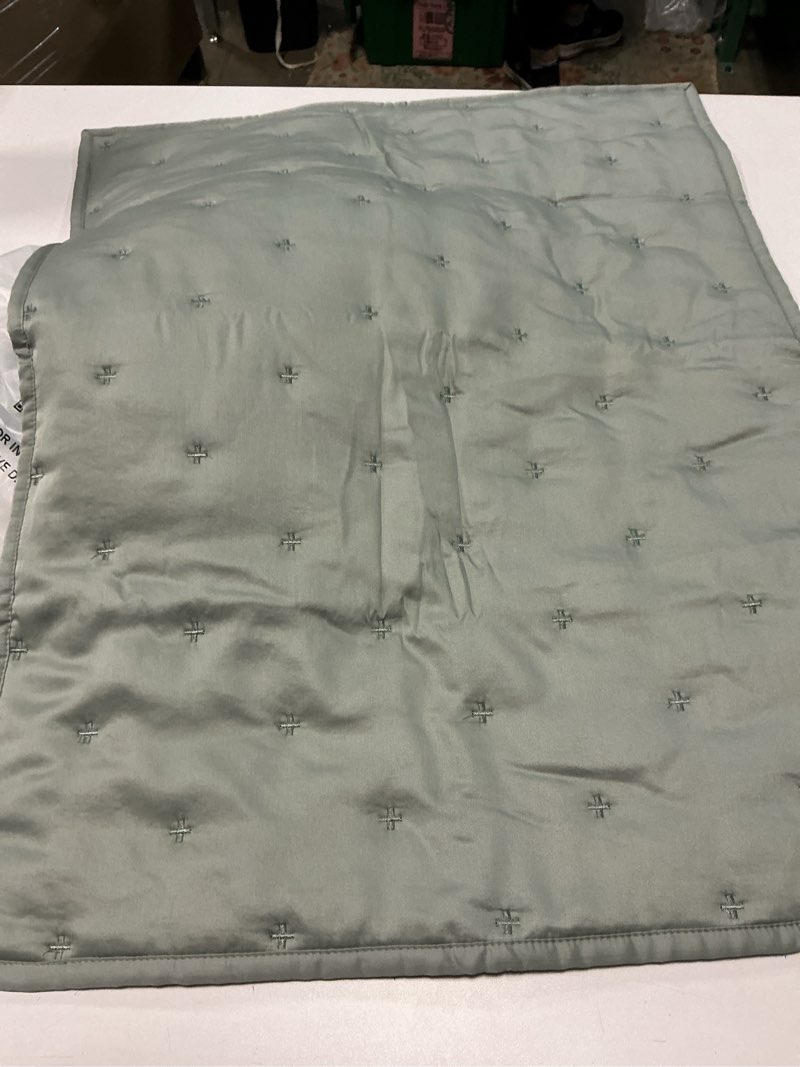 Condition photo showing Good Condition for bamboo dream quilted sham set color olive(size 20in x 26in)