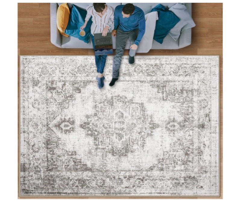 Area Rug 9x12 Vintage Rug: Large Washable Indoor Medallion Rugs Low Pile Distressed Floor Carpet Ret