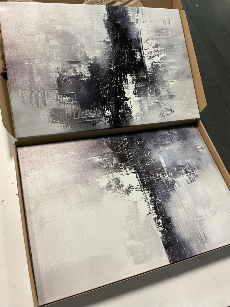 Condition photo showing Good Condition for similar 3pcs black and white canvas wall art modern abstract paintings minimalist line posters prints wall decor black and white picture artwork for living room bedroom bathroom office home12x16in unframed wildflower-poster 12x16inx3pcsposter