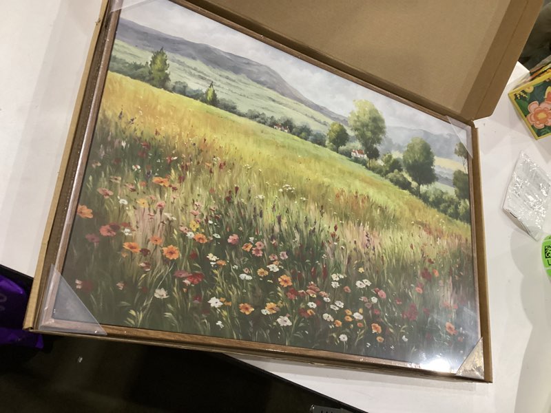 Condition photo showing New/Like New for KISSFOX Vintage Landscape Canvas Wall Art Spring Farmhouse Colorful Wildflower Field Framed Wall Art Natural Countryside Cottagecore Paintings Artwork Rustic Art Prints For Bedroom Living Room Spring Fields Framed 24x36 in