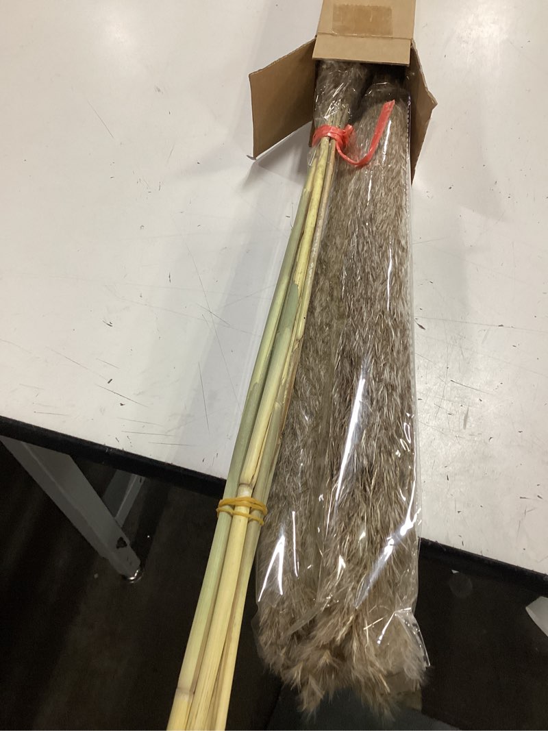 Condition photo showing Good Condition for 40-inch cream pampas grass decor tall 10-pcs xxl size natural boho plants decor wedding flowers beige 40 inch