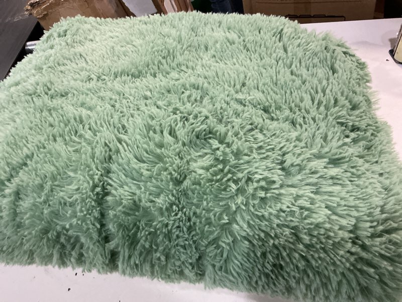 Condition photo showing As Is for sage green area rugs fluffy rug for bedroom living room, 4x6 feet indoor shaggy carpets, plush soft rug for kids room, furry rugs for girls boys playroom nursery room home decor