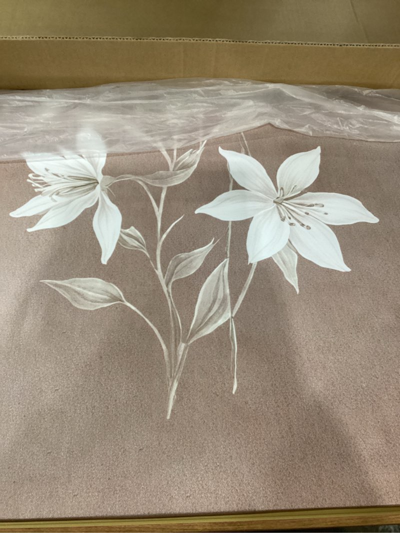 Condition photo showing New/Like New for LHIUEM Large Vintage Neutral Botanical Framed Wall Art Set,Brown and Black Flower Wall Decor,Nature Wildflower Artwork,Rustic Plant Floral Art Prints for Living Room,Bedroom,Farmhouse - 16"x24"x3