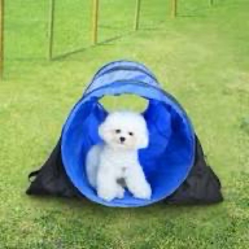 Dog Agility Tunnel Sandbags, Dog Agility Equipment, Dog Agility Training