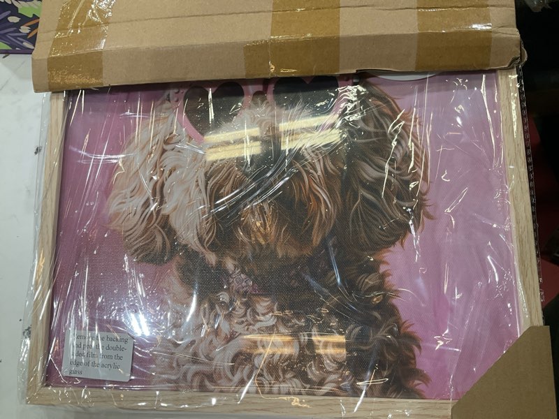 Condition photo showing Good Condition for ihery natural oak wood pink goldendoodle dog framed wall art, 12x16 in funky preppy heart-shaped glasses canvas wall art decor for bedroom, cute dog prints apartment bathroom living room set of 1 oak framed pink goldendoodle 16"l x 12"w