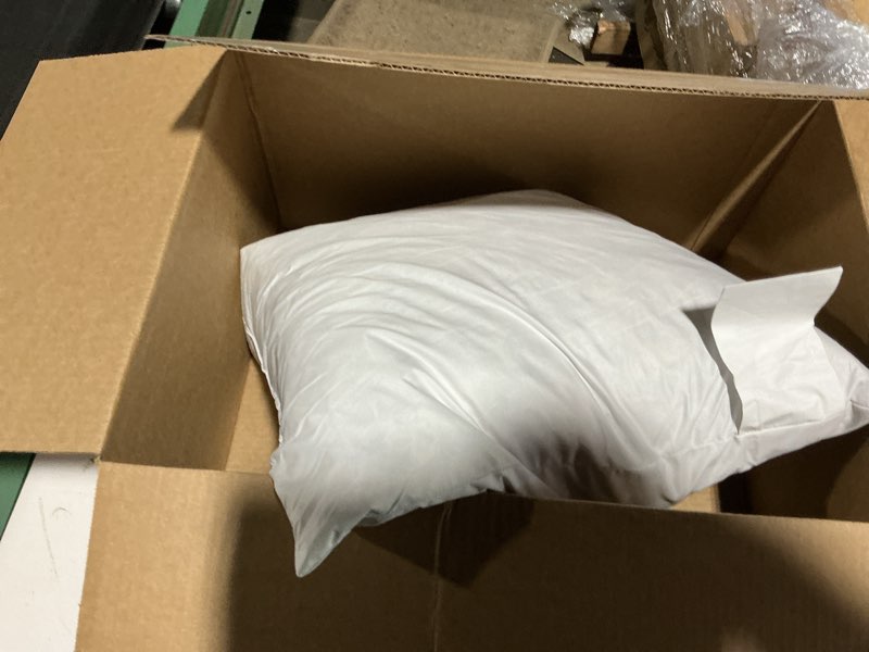 Condition photo showing As Is for saro lifestyle down feather pillow insert, white, 19"x19" white 19"x19"