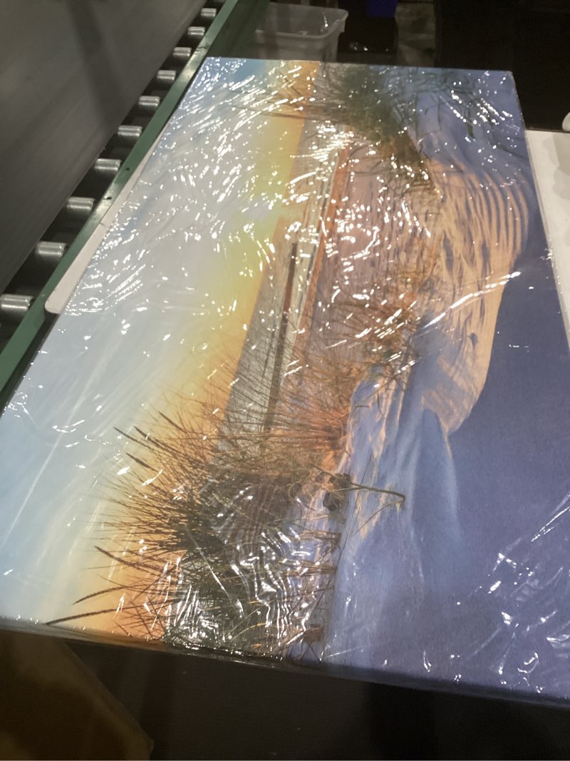 Condition photo showing Good Condition for canvas wall art for living room super large size wall decor for office canvas art framed pictures artwork blue sun beach grass ocean landscape paintings bedroom decor seascape draw home decorations 30x60 inches blue sun beach grass ocean landscape