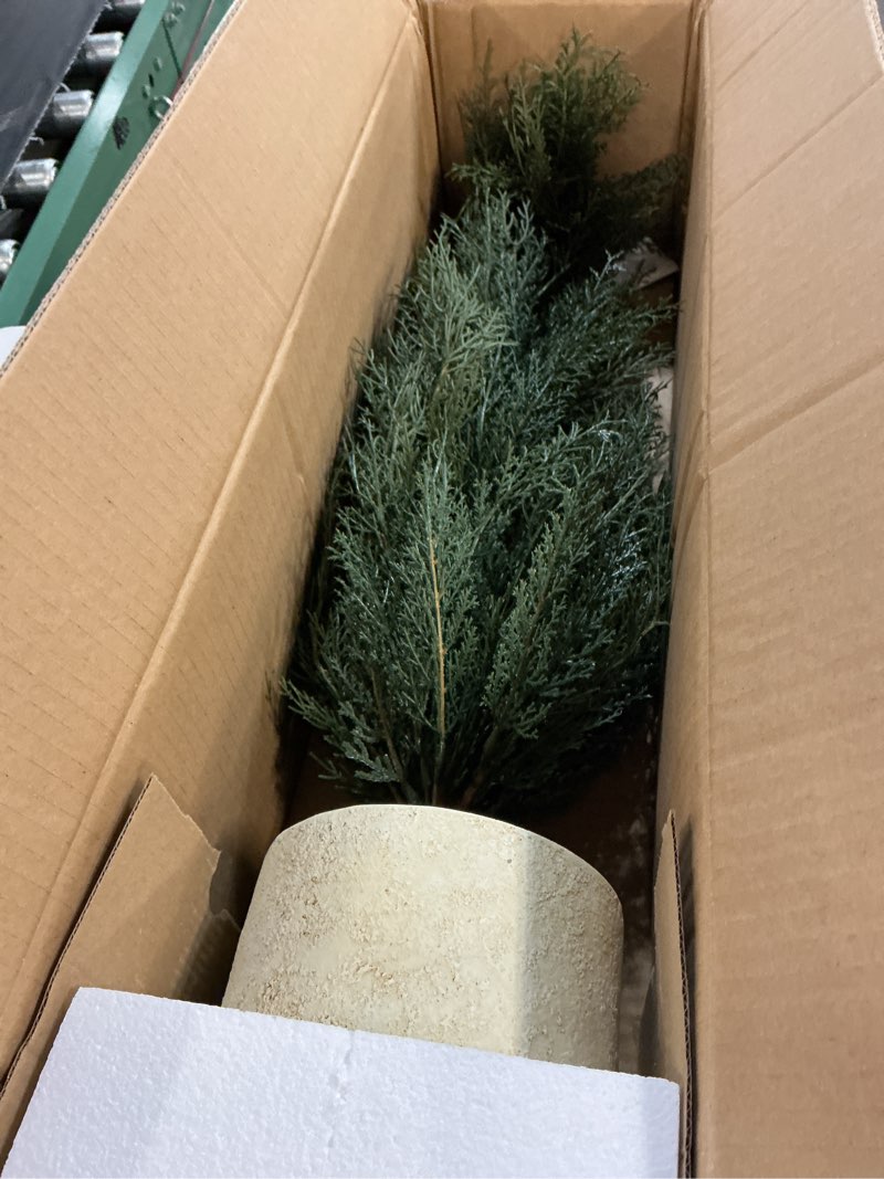 Condition photo showing New/Like New for cg hunter holiday collection, set-of-1 faux evergreen cedar trees, premium artificial indoor cedar tree stands 36" tall in creme pot–perfect christmas decoration 3ft classic