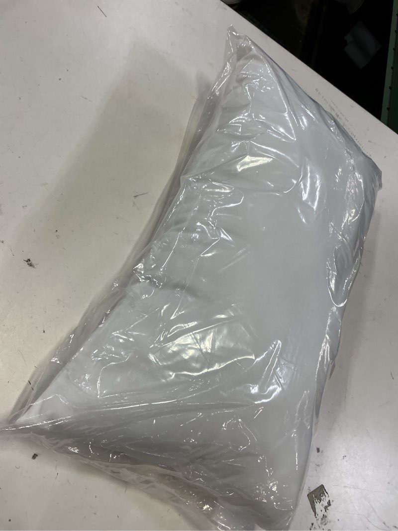 Condition photo showing Good Condition for 11x19 in pillow insert