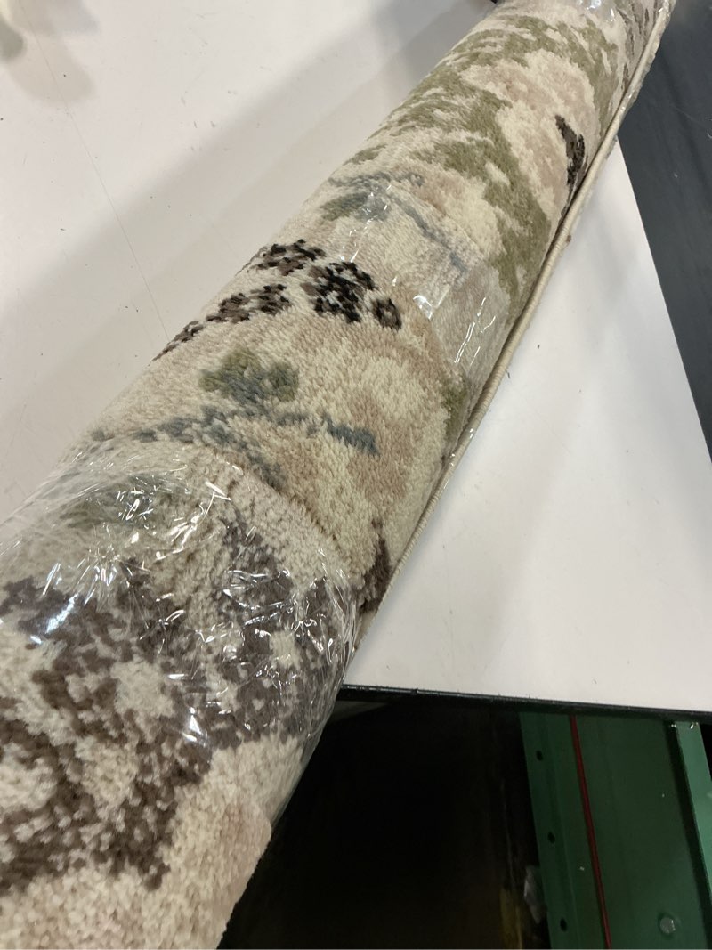 Condition photo showing Good Condition for superior indoor area rug, jute backed, modern oriental floral damask floor decor for office, living room, bedroom, entryway, dining/kitchen, hardwood, tile, augusta collection, 4' x 6', beige-brown beige brown 4' x 6' (rectangular)