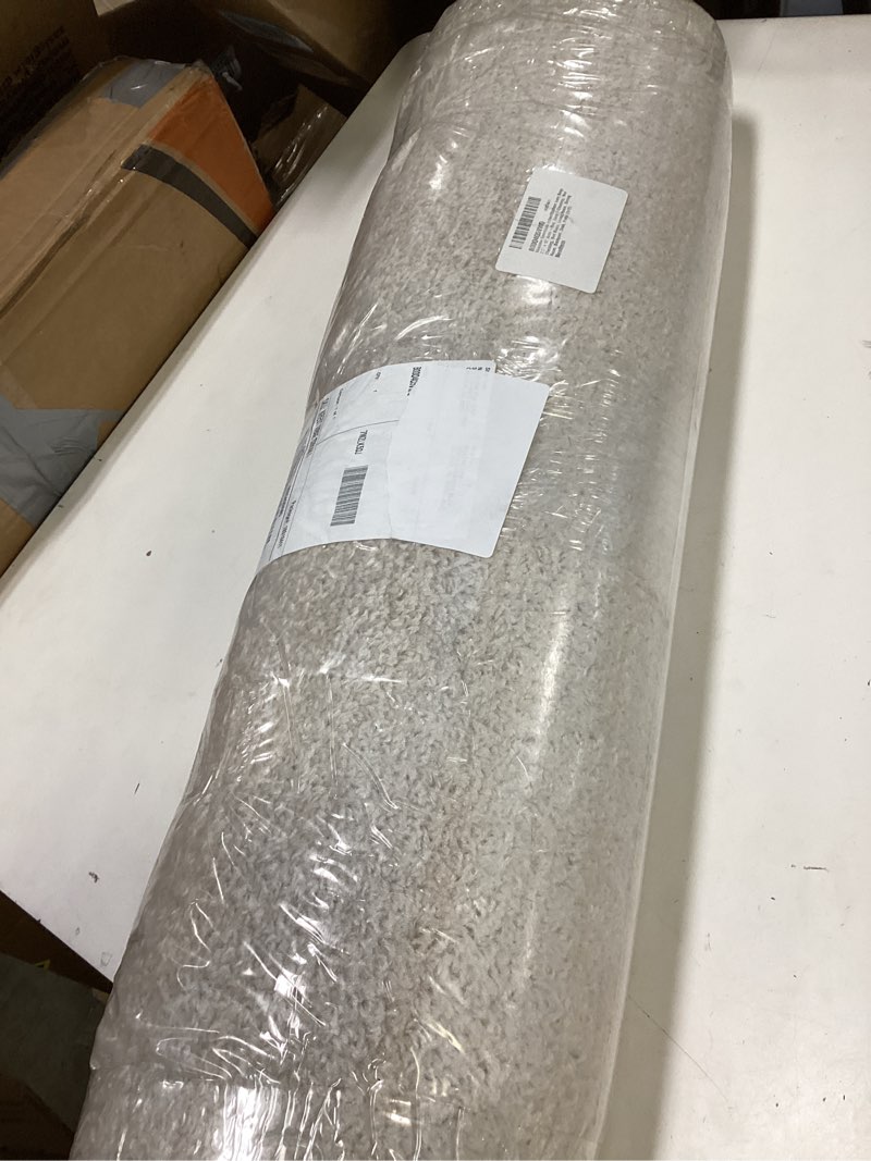 Condition photo showing New/Like New for Nourison Home Essentials Indoor/Outdoor Ivory Beige 2'2" x 12' Area -Rug, Easy -Cleaning, Non Shedding, Bed Room, Living Room, Dining Room, Backyard, Deck, Patio (2x12) 2'2" x 12' Ivory Beige