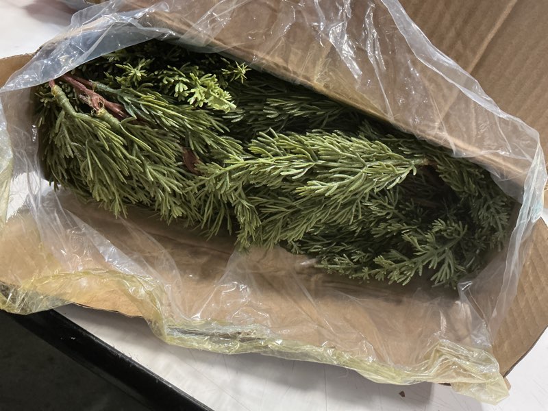 Condition photo showing Good Condition for Christmas Cedar Garland - 9ft Artificial Christmas Garlands for Indoor and Outdoor Christmas Decorations, Dense Fluffy Garland for Staircase, Door, Window & Table Decor(1PCS)
