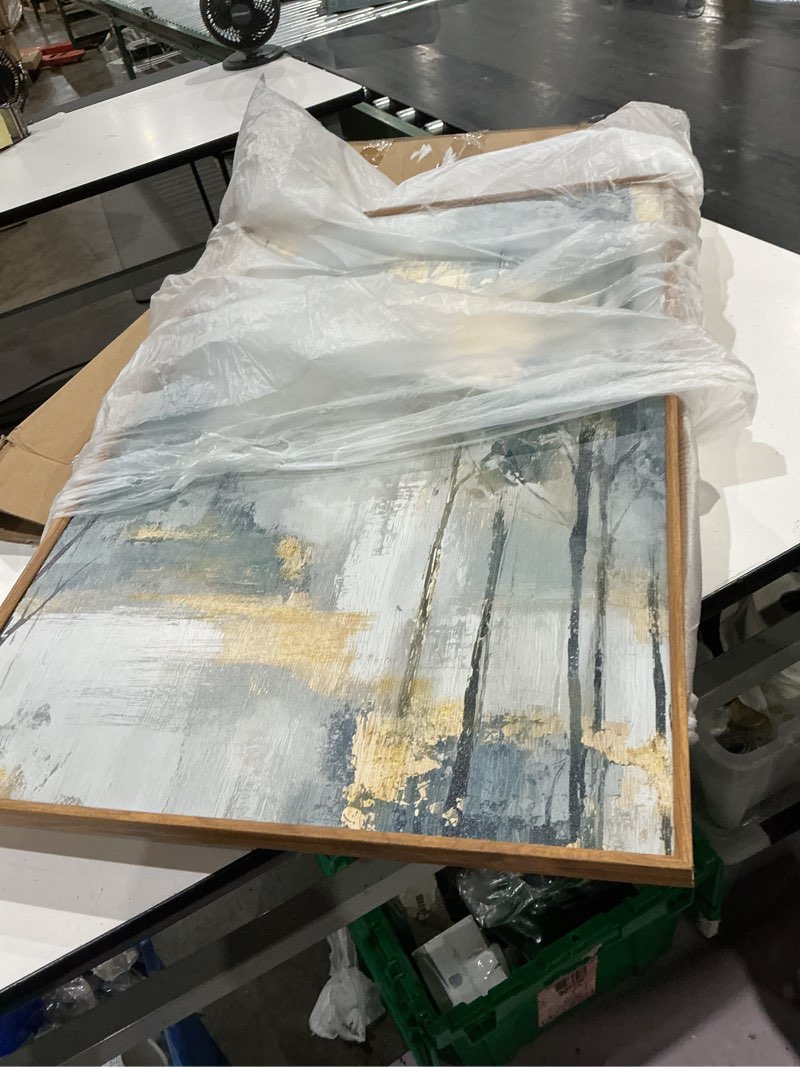 Condition photo showing Good Condition for minimalism blue and gold forest ii\" forest framed art set of 3 - traditional beige wall art set 3 pieces