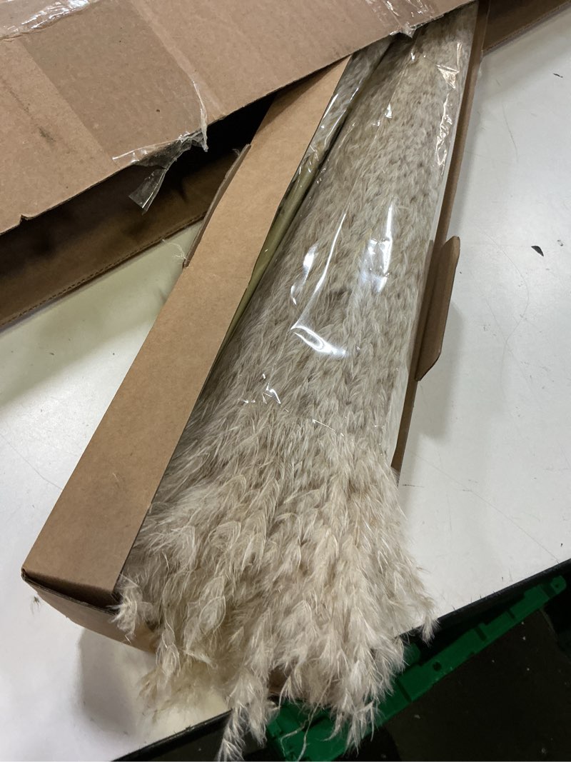 Condition photo showing Good Condition for 40" inch 10 stems natural pampas grass decor tall, pompas grass, tall pampas grass for wedding, party, farmhouse, boho home decor