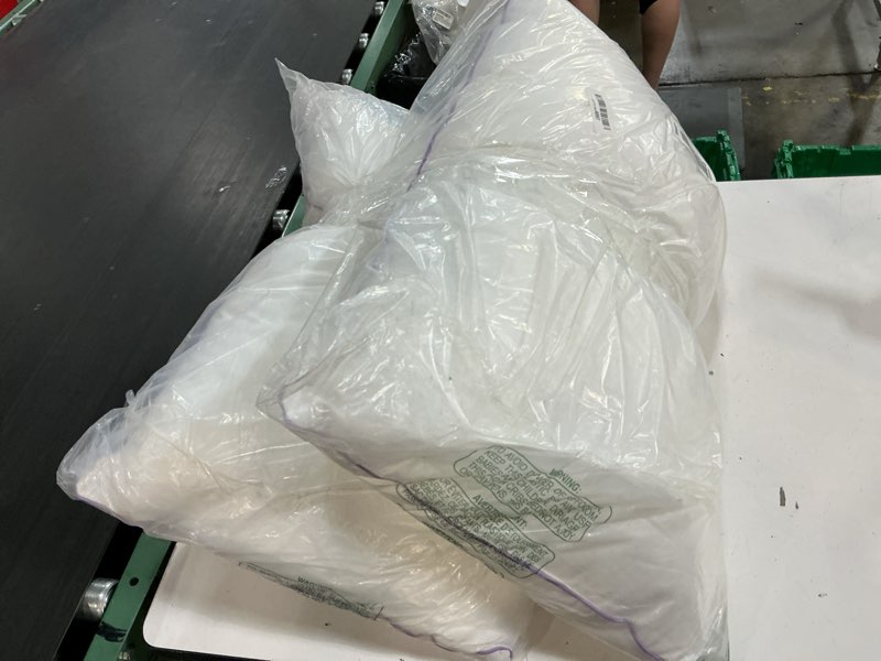 Condition photo showing As Is for set of 2 pillows