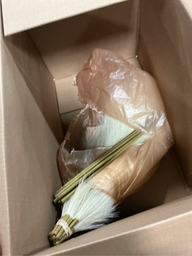 Condition photo showing Good Condition for zeyune 5 pcs 71'' large faux pampas grass decor tall faux pampas grass splicable fake dried boho home decor beige feathers for vase artificial floral for wedding home party boho decoration (beige)