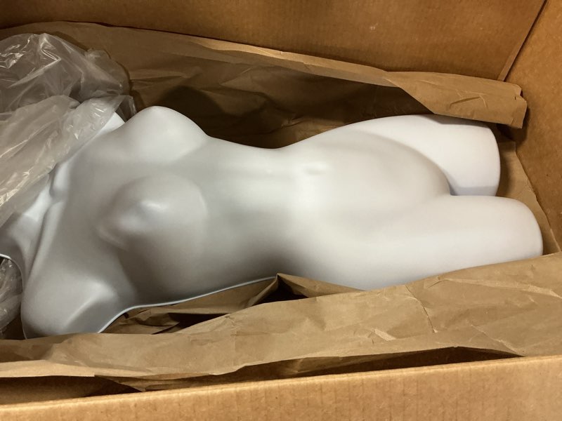 Condition photo showing Good Condition for SSWBasics Female Mannequin Torso - Fits Women’s Sizes 5-10 - Molded, Shatterproof & White
