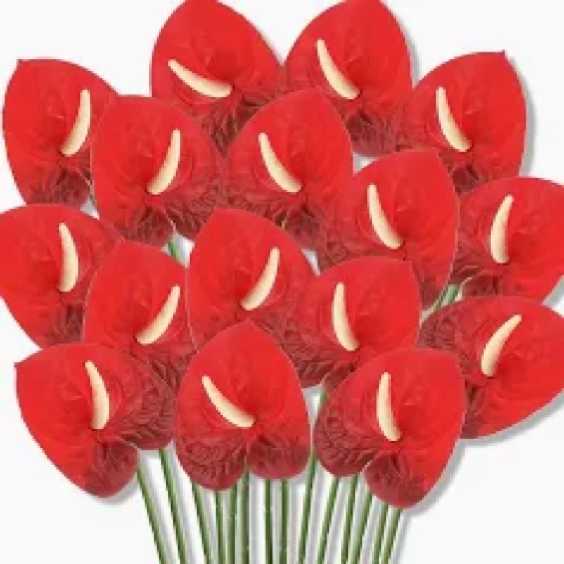 Hanaive 20 Pcs Artificial Anthurium Flowers 23.6 Inch Fake Anthurium Flowers for DIY Vase Bouquets C