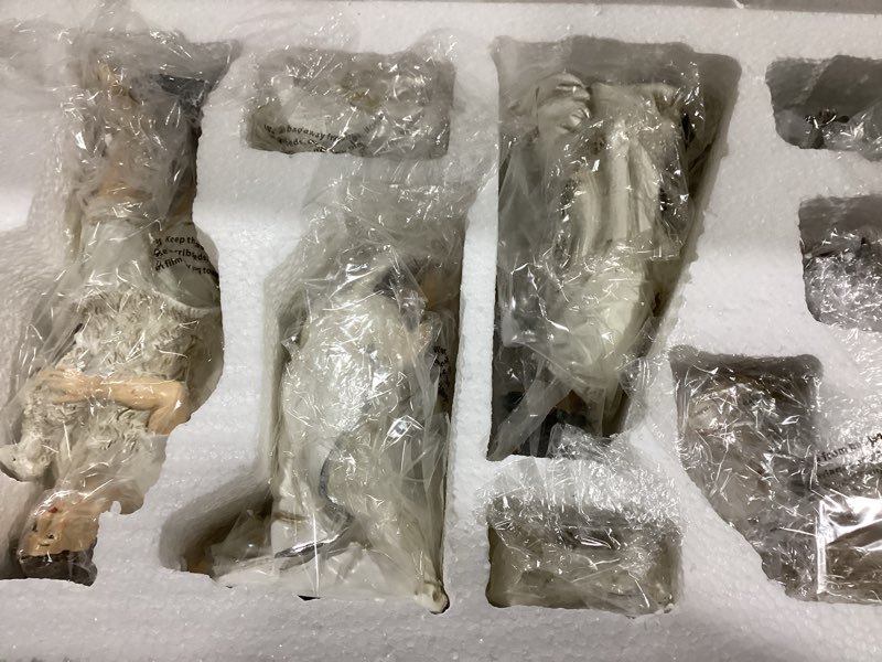 Glitzhome 12Pcs Ivory Resin Nativity Figurines Set Christmas Nativity Sets Tabletop Scenes Ornaments