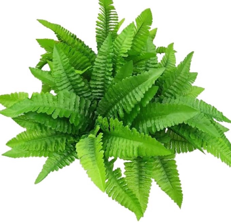 ferns artificial boston fern bush plant,faux plant shrubs greenery bushes indoor outside,hanging basket planter decor for home garden office verandah wedding decor
