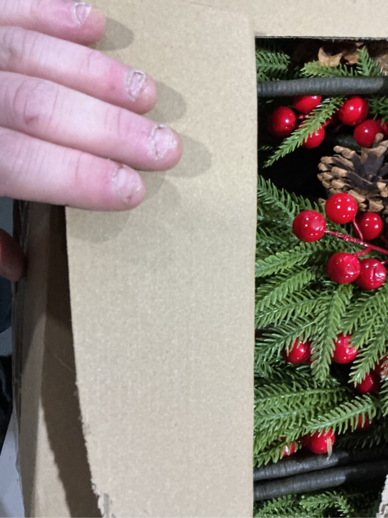 Condition photo showing Good Condition for HyDren 20 Pcs Christmas Norfolk Pine Stems - 18" Artificial Christmas Pine Branches with Cone and Berry Faux Greenery Stem for DIY Vases Crafts Garland Table Holiday Wreath Decor