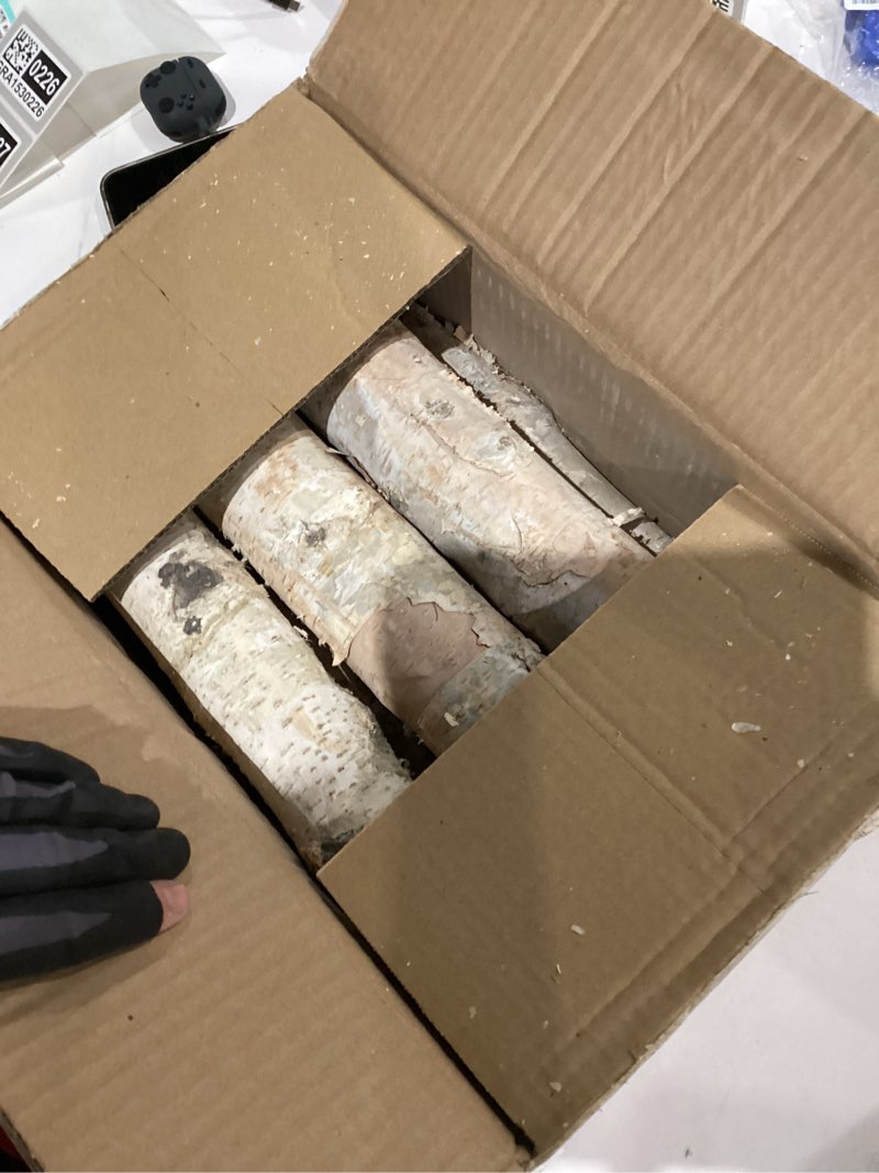 Condition photo showing As Is for 6-Pack White Birch Logs for Fireplace - Birch Tree Logs for Decoration, Decorative Firewood for Faux Mantel, Indoor Decor, DIY Crafts, and Planter Decoration (2.4"-3.2" Dia. x 16" Long) 6 Pcs (2.4"-3.2")