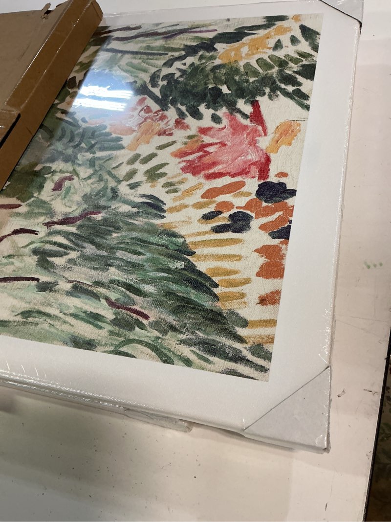 Condition photo showing Good Condition for induslyfe large framed sage green vintage wall art canvas decor set of 3, matisse wall art prints poster mid century modern art, aesthetic floral botanical wall art, bedroom living room bathroom 18x24 18"x24" vintage