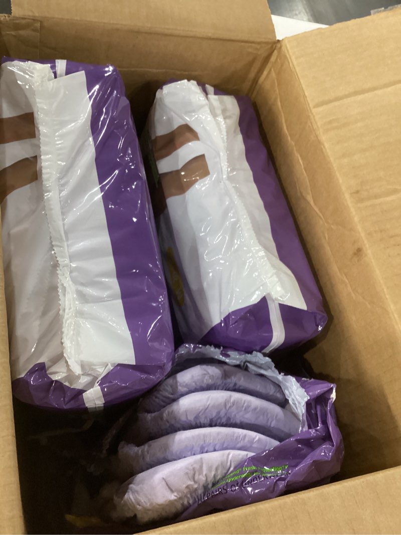 Condition photo showing As Is for amazon basics incontinence underwear for women, protective, disposable, postpartum, maximum absorbency, medium, lavender, medium 20.0