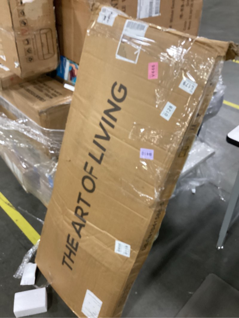 https://lotting-media.assets.bidfta.com/lotting_960e6ffb-8e83-4d22-8bf5-a836c597758f