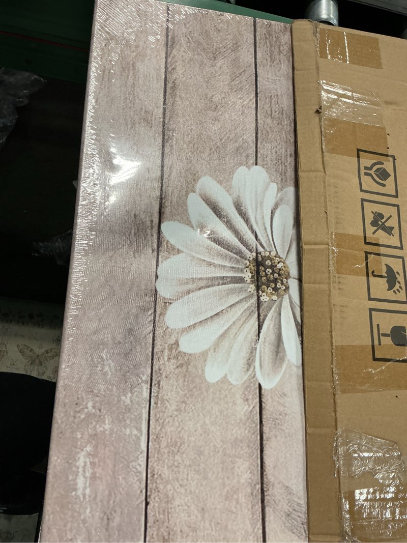 Condition photo showing Good Condition for LevvArts Daisy Flower Wall Art Rustic Farm Floral Painting Artwork for Farmhouse Home Bedroom Bathroom Decor Vintage White Brown Flower Art Poster Kitchen Decor Easy Hanging 24x24