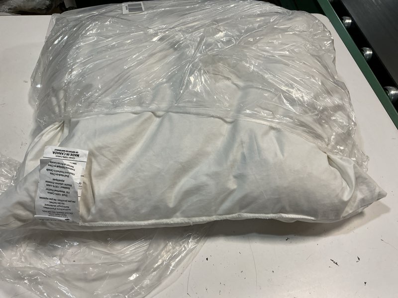 Condition photo showing As Is for premium feather pillow insert 20”x20”