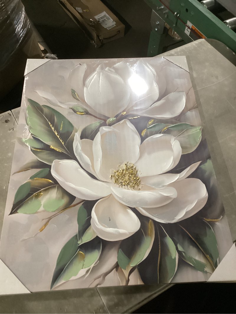 Condition photo showing Good Condition for similar  to photo flower pictures canvas wall art white gold flowers elegant wall decor pictures retro floral poster prints for bedroom bathroom wall decorations (12inx16in canvas) 3d flowers 16\"l x 12\"w