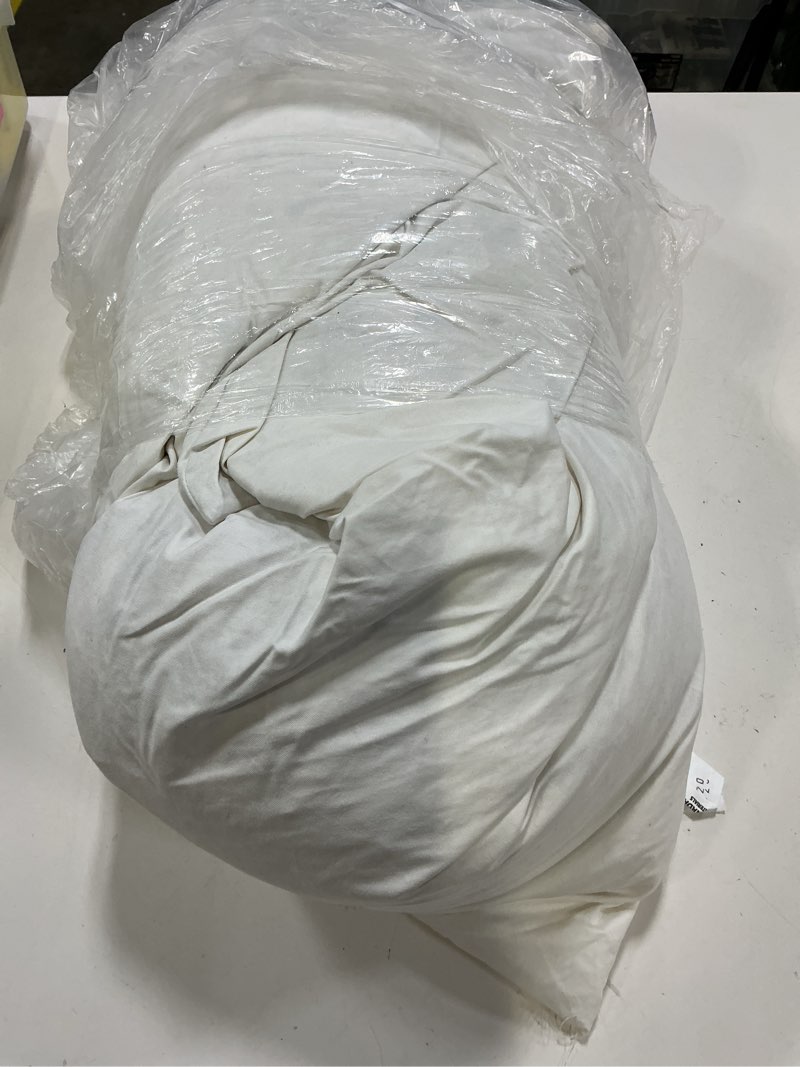 Condition photo showing As Is for quince premium feather pillow insert (set of 2), 20x20, no color