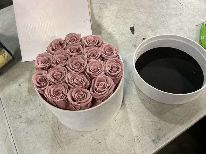 Condition photo showing Good Condition for prifroti 17 flowers in a luxury suede box, birthday gifts for women, preserved flowers, mothers day roses gift for mom, dusty rose dusty rose 17 roses