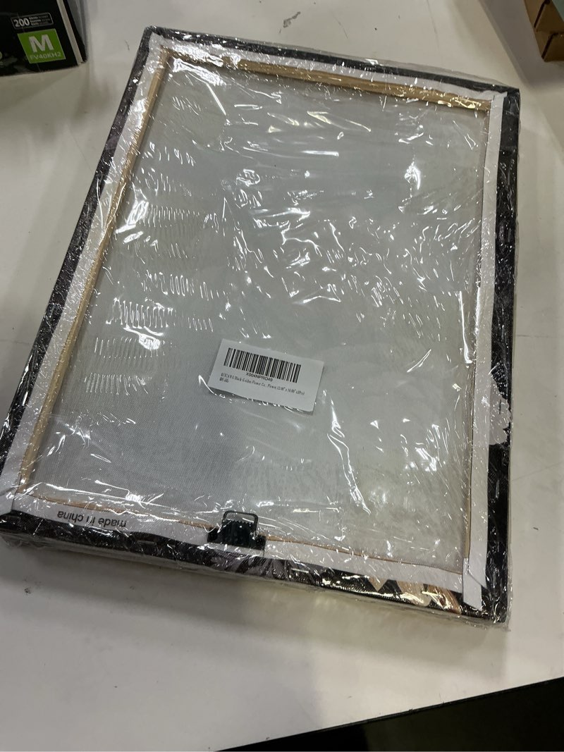 Condition photo showing New/Like New for qixiang black golden flower canvas wall art 3 pieces abstract black and gold leaf bloom floral pictures prints for living room decor (black gold flower,12.00" x 16.00" x3pcs) black gold flower 12.00" x 16.00" x3pcs