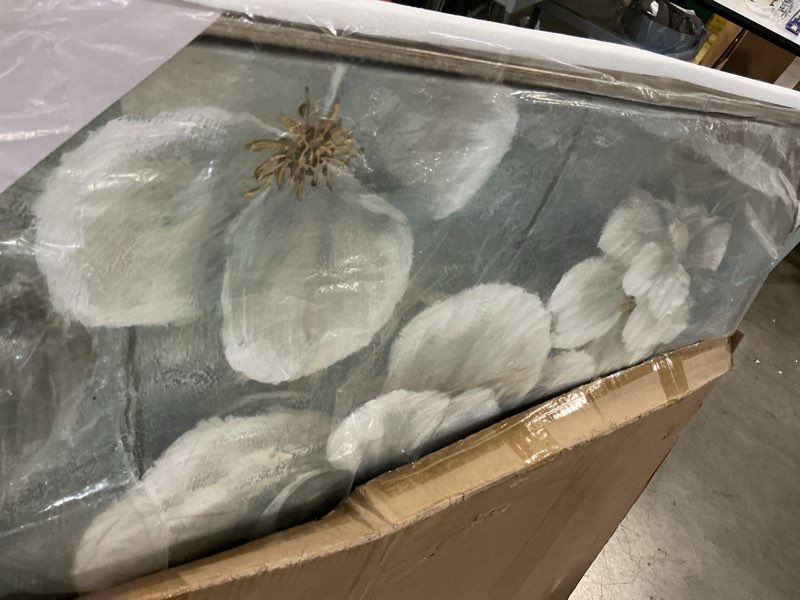 Condition photo showing New/Like New for floral framed canvas wa. atwork for living room