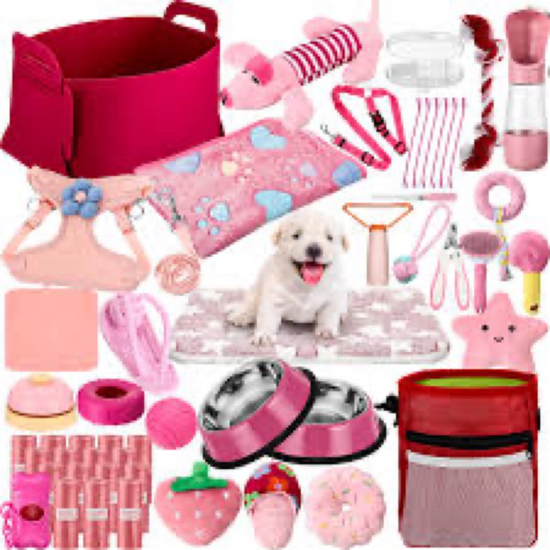 Assorted Pet Essentials ( Pet Toys, Pet Leashes, Pet Clothes,aquarium etc.) 