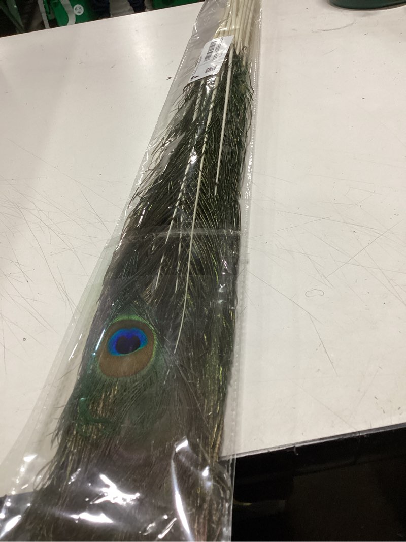 Condition photo showing New/Like New for tharaht 24pcs peacock feathers natural long in bulk 30-32 inch(75-80 cm) for floral arrangements diy craft, wedding home party holiday decoration peacock feathers 30-32inch-24pcs